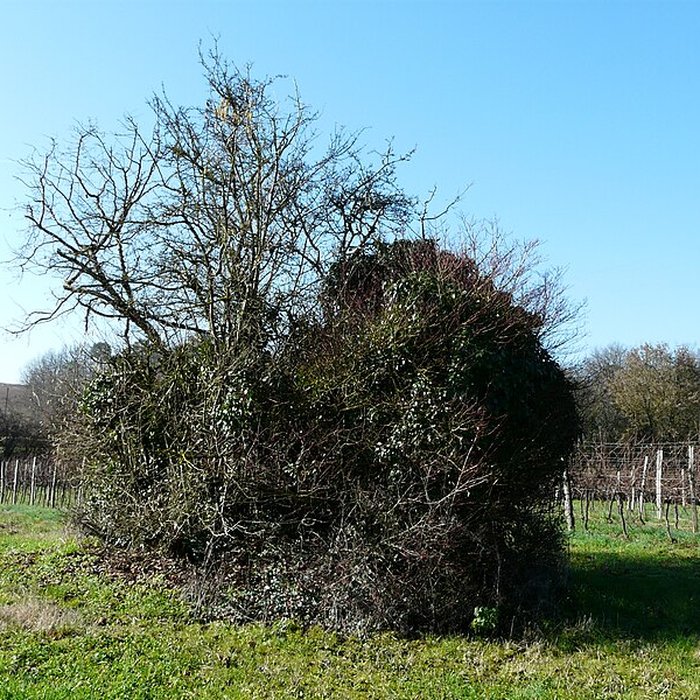 Photo de Dolmen dEylias à Eymet