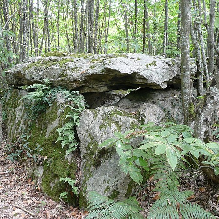 Photo de Dolmen dit la Pierre au Loup à Seiches-sur-le-Loir