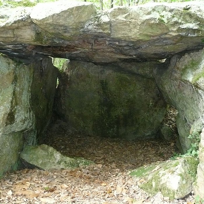 Photo de Dolmen dit la Pierre au Loup à Seiches-sur-le-Loir