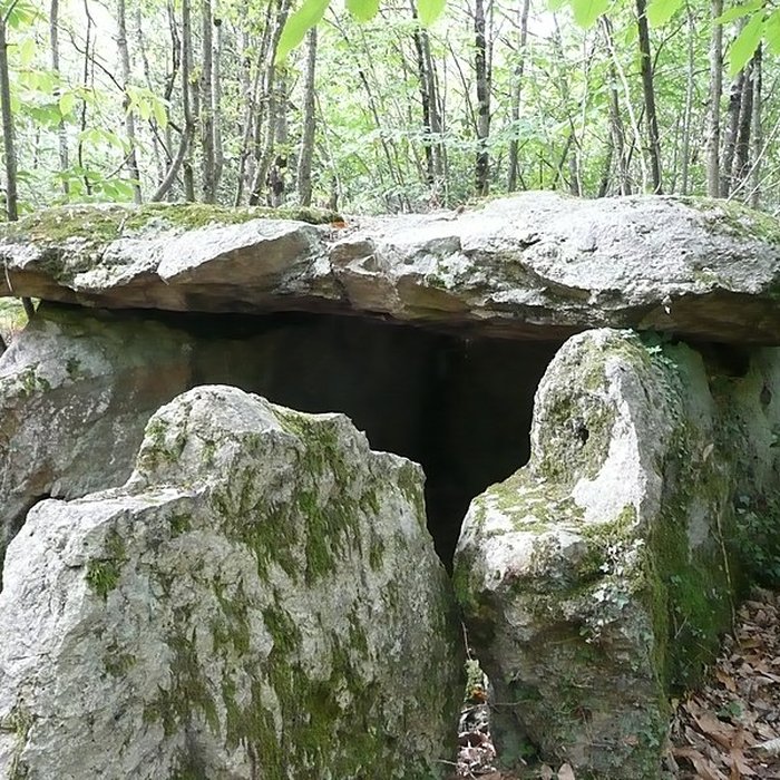 Photo de Dolmen dit la Pierre au Loup à Seiches-sur-le-Loir