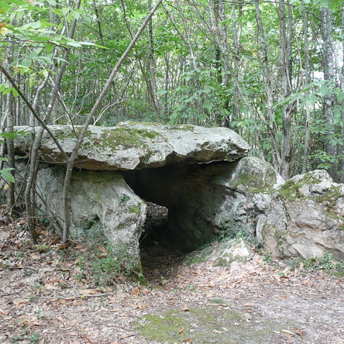 Photo de Dolmen dit la Pierre au Loup à Seiches-sur-le-Loir