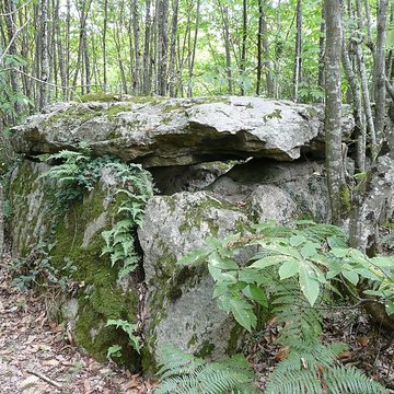 Dolmen dit la Pierre au Loup à Seiches-sur-le-Loir