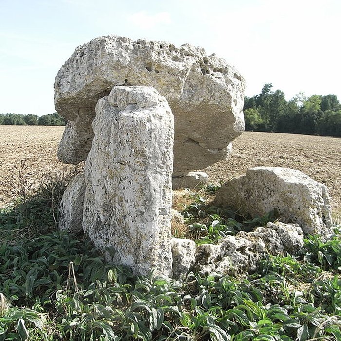 Photo de Dolmen dit La Pierre Fouquerée à Ardillières