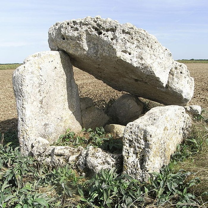 Photo de Dolmen dit La Pierre Fouquerée à Ardillières