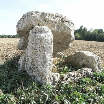 Dolmen dit La Pierre Fouquerée à Ardillières