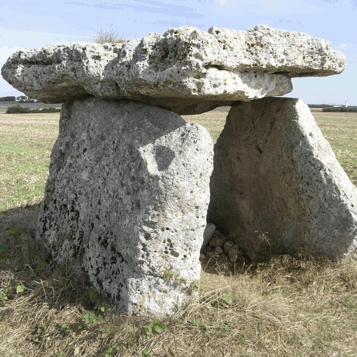 Photo de Dolmen dit La Pierre Levée à Ardillières
