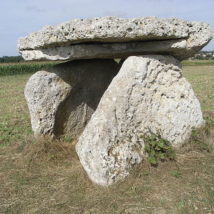 Photo de Dolmen dit La Pierre Levée à Ardillières