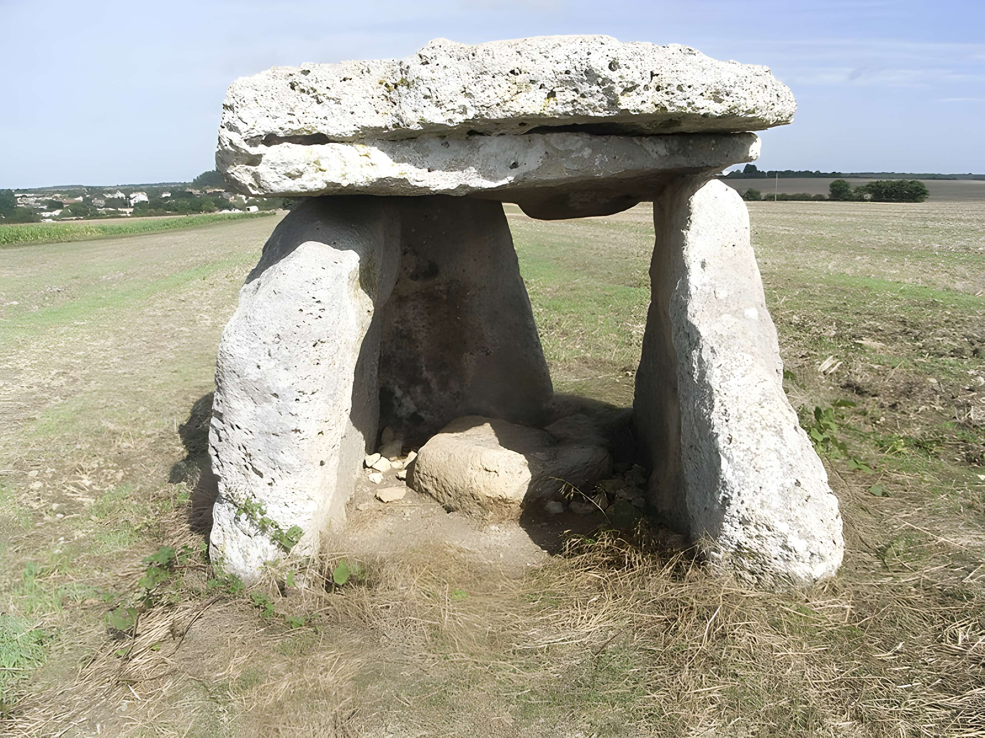 Dolmen dit La Pierre Levée à Ardillières 