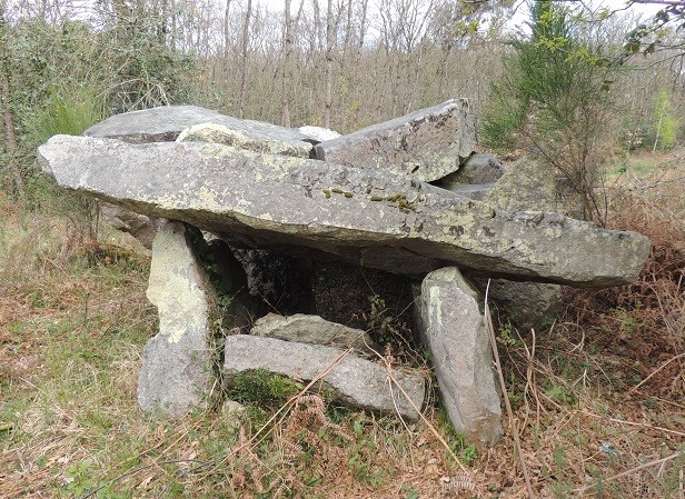 Photo de Dolmen du Bois de la Pidoucière à Corzé
