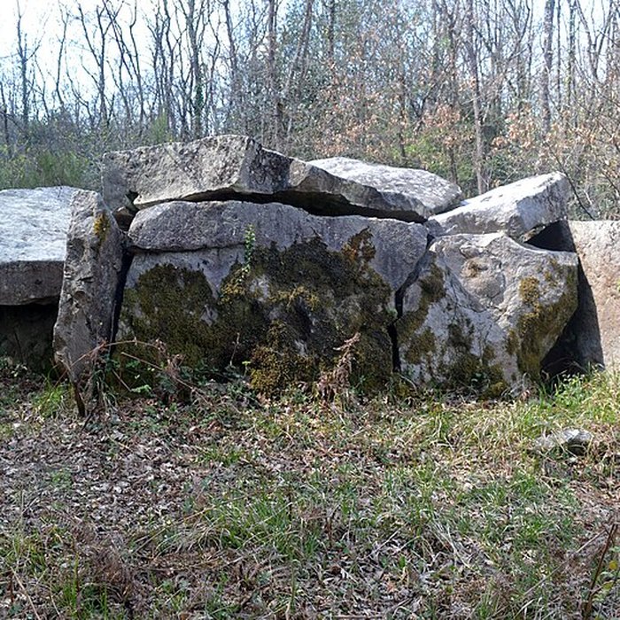 Photo de Dolmen du Bois de la Pidoucière à Corzé