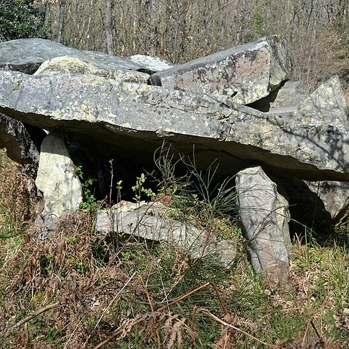 Photo de Dolmen du Bois de la Pidoucière à Corzé