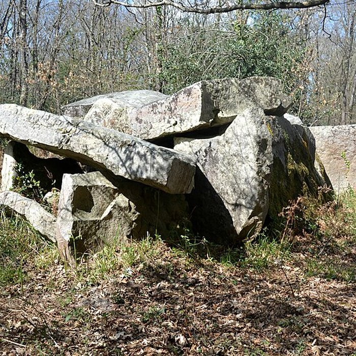Photo de Dolmen du Bois de la Pidoucière à Corzé