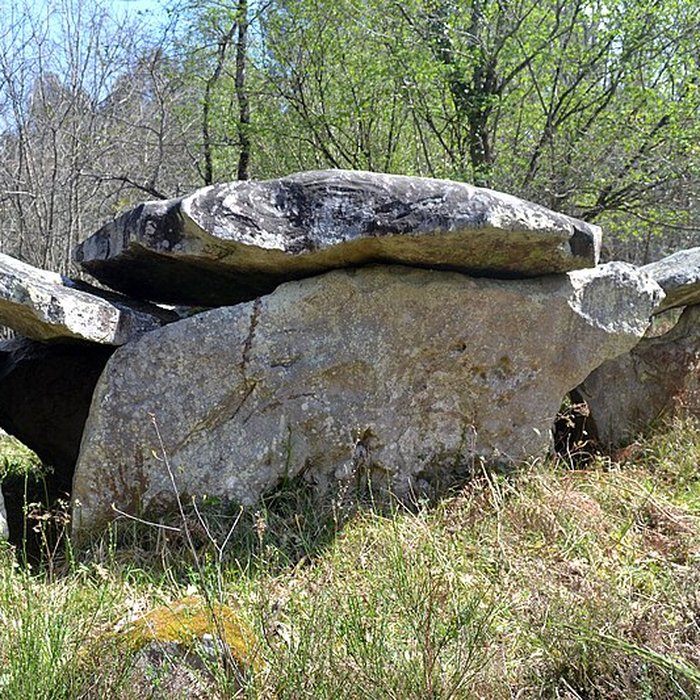 Photo de Dolmen du Bois de la Pidoucière à Corzé