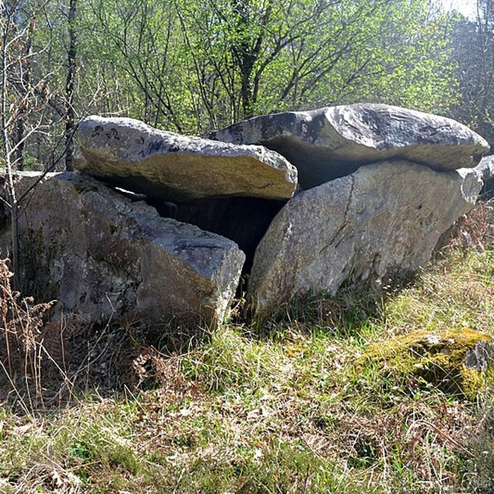 Photo de Dolmen du Bois de la Pidoucière à Corzé