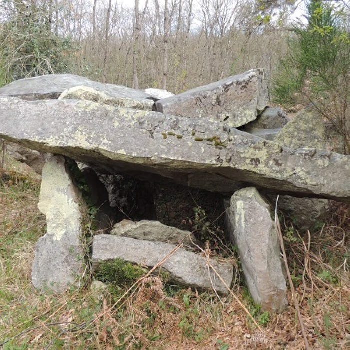 Photo de Dolmen du Bois de la Pidoucière à Corzé