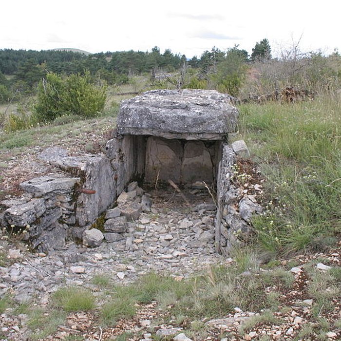 Photo de Dolmen du Buisson à Mas-Saint-Chély