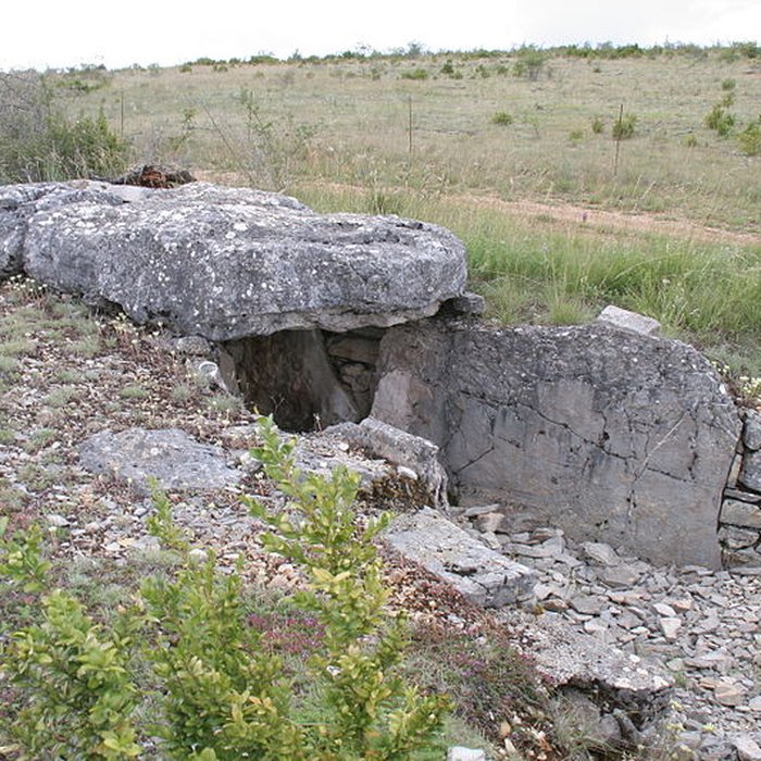 Photo de Dolmen du Buisson à Mas-Saint-Chély