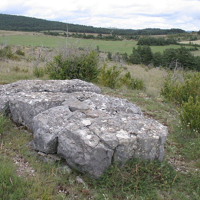Photo de Dolmen du Buisson à Mas-Saint-Chély