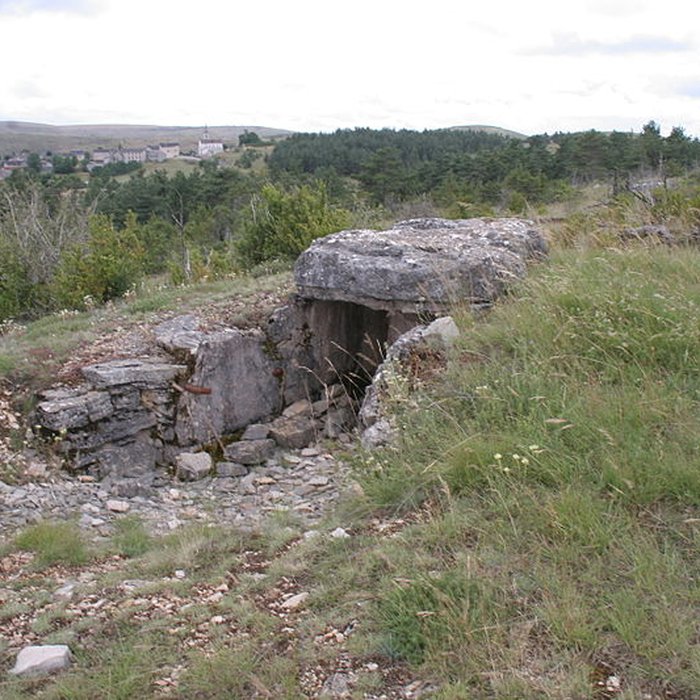 Photo de Dolmen du Buisson à Mas-Saint-Chély