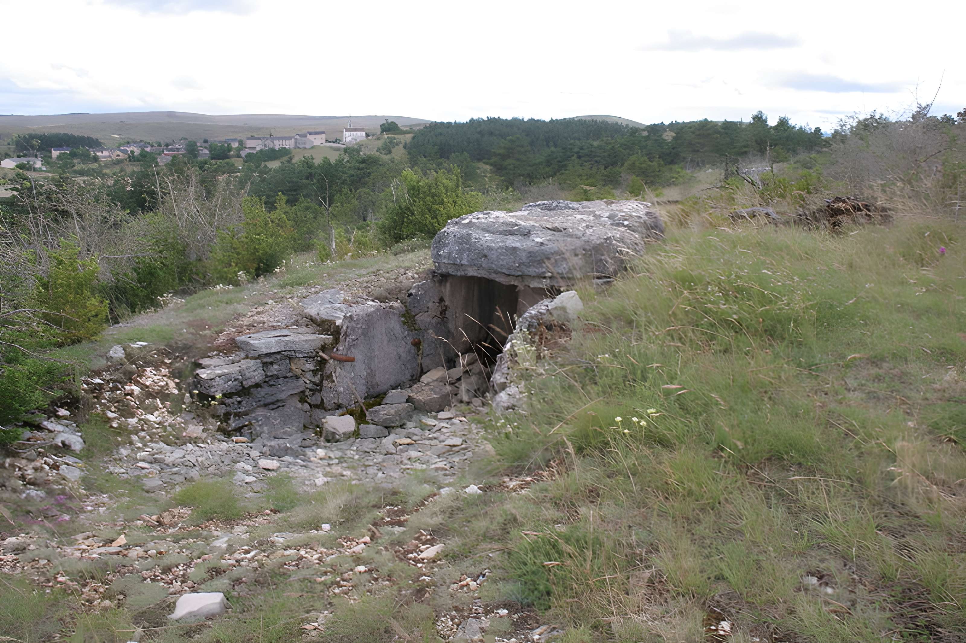Dolmen du Buisson à Mas-Saint-Chély