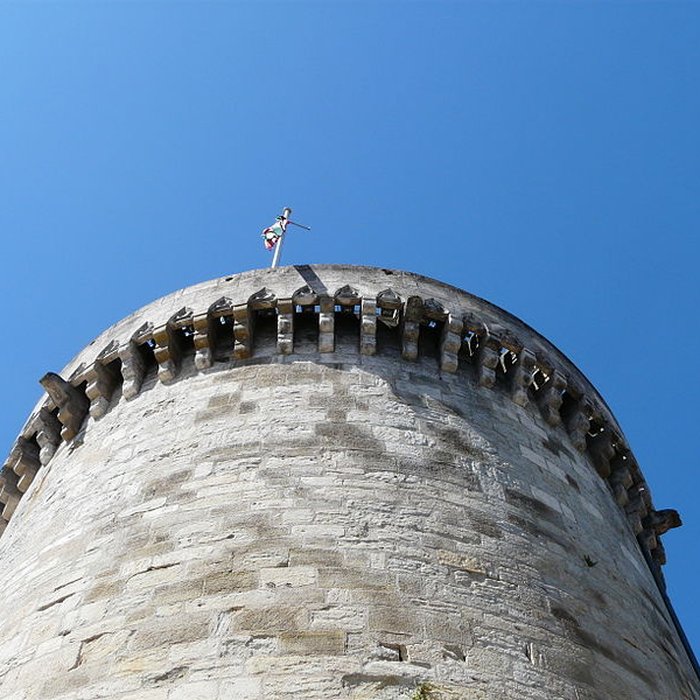Photo de Tour Mataguerre de Périgueux