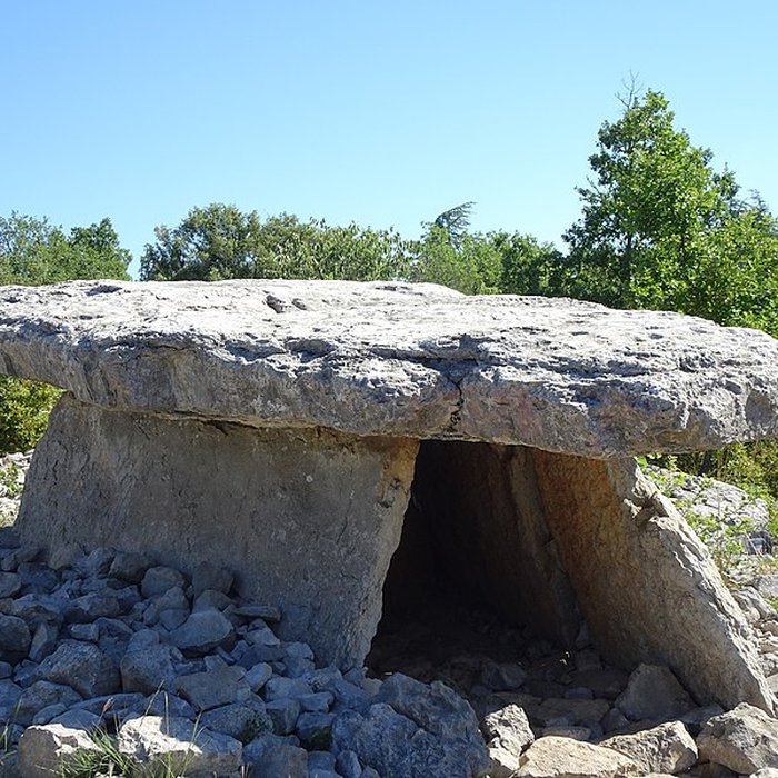Photo de Dolmen du Calvaire à Saint-Alban-Auriolles