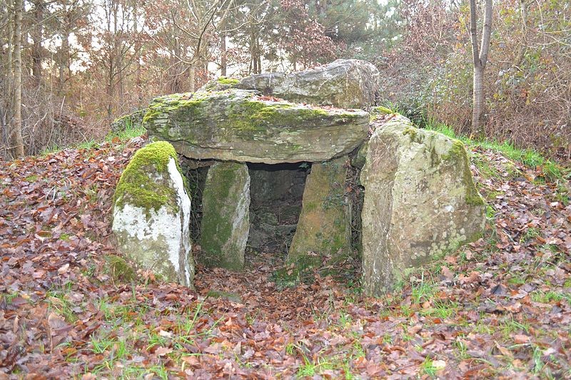 Photo de Dolmen du Champ du Ruisseau à Champtocé-sur-Loire