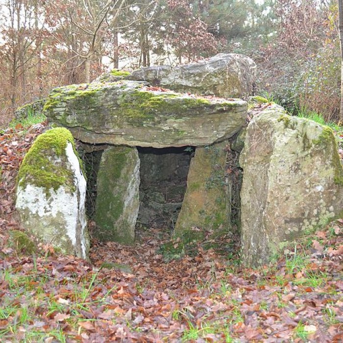 Photo de Dolmen du Champ du Ruisseau à Champtocé-sur-Loire