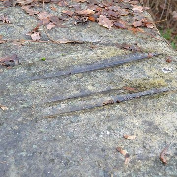 Dolmen du Champ du Ruisseau à Champtocé-sur-Loire