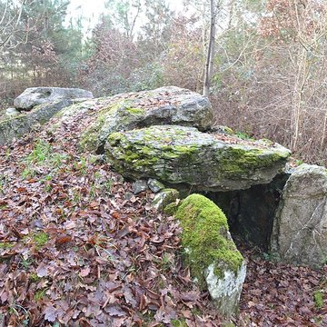 Dolmen du Champ du Ruisseau à Champtocé-sur-Loire