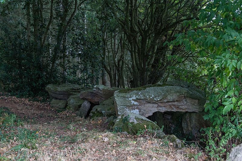 Photo de Dolmen du Champ-Grosset à Quessoy