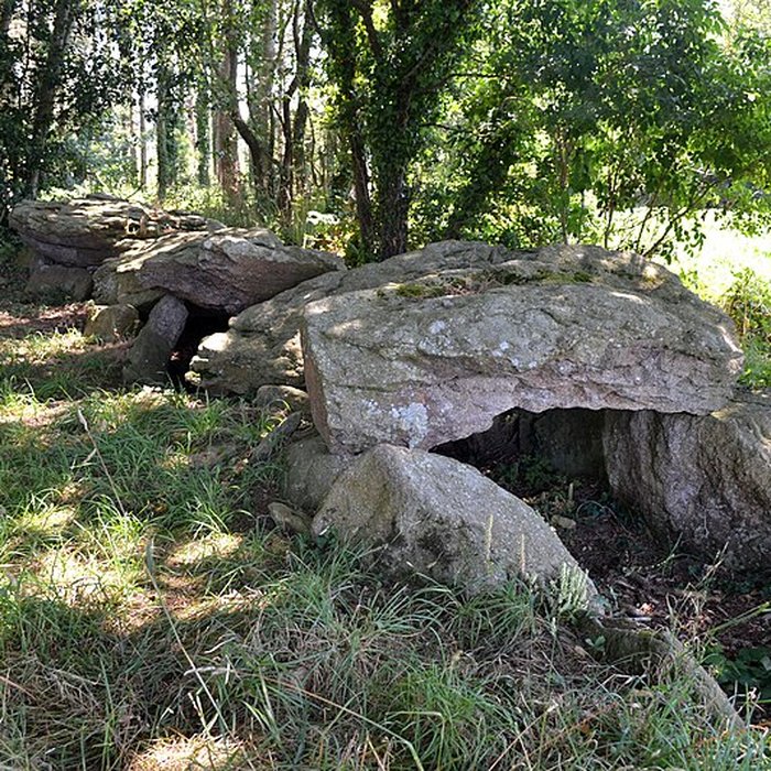 Photo de Dolmen du Champ-Grosset à Quessoy