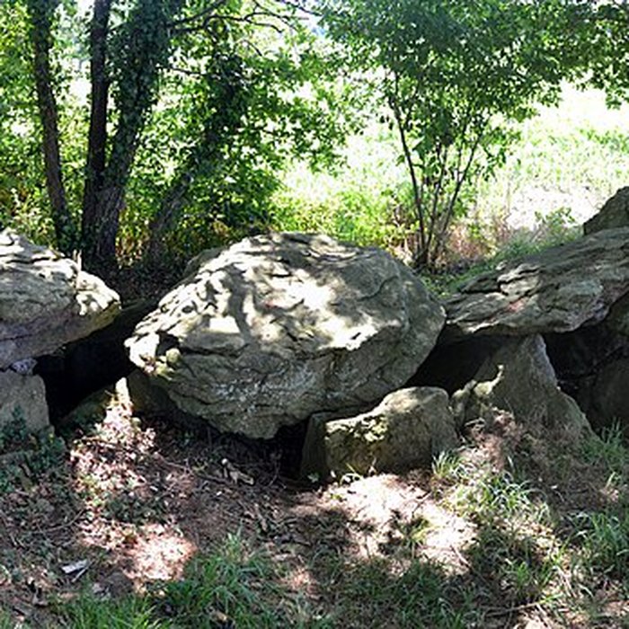 Photo de Dolmen du Champ-Grosset à Quessoy