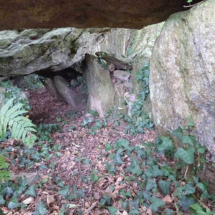 Photo de Dolmen du Champ-Grosset à Quessoy