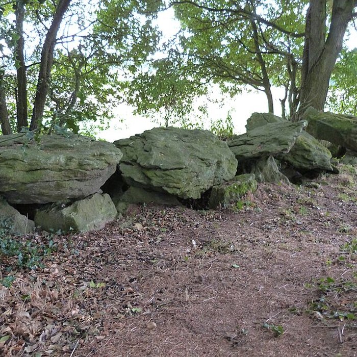 Photo de Dolmen du Champ-Grosset à Quessoy