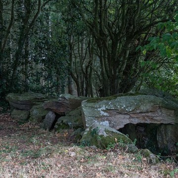 dolmen du champ grosset a quessoy