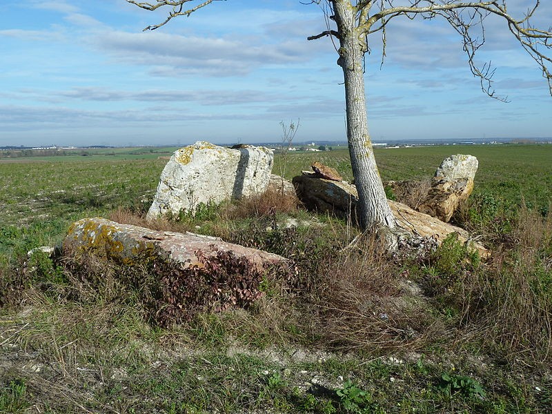 Photo de Dolmen du Griffier à Antoigné