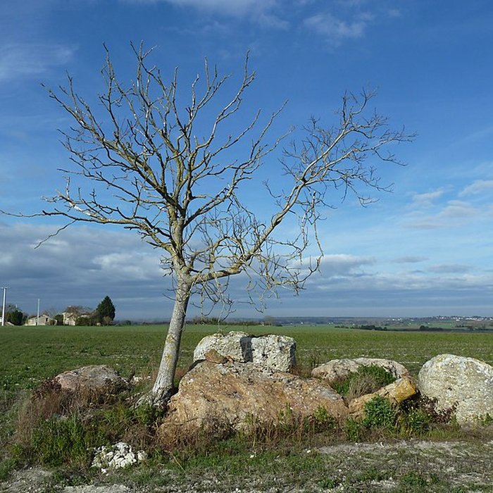Photo de Dolmen du Griffier à Antoigné