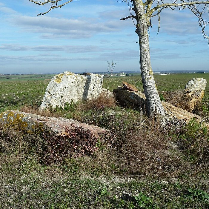 Photo de Dolmen du Griffier à Antoigné