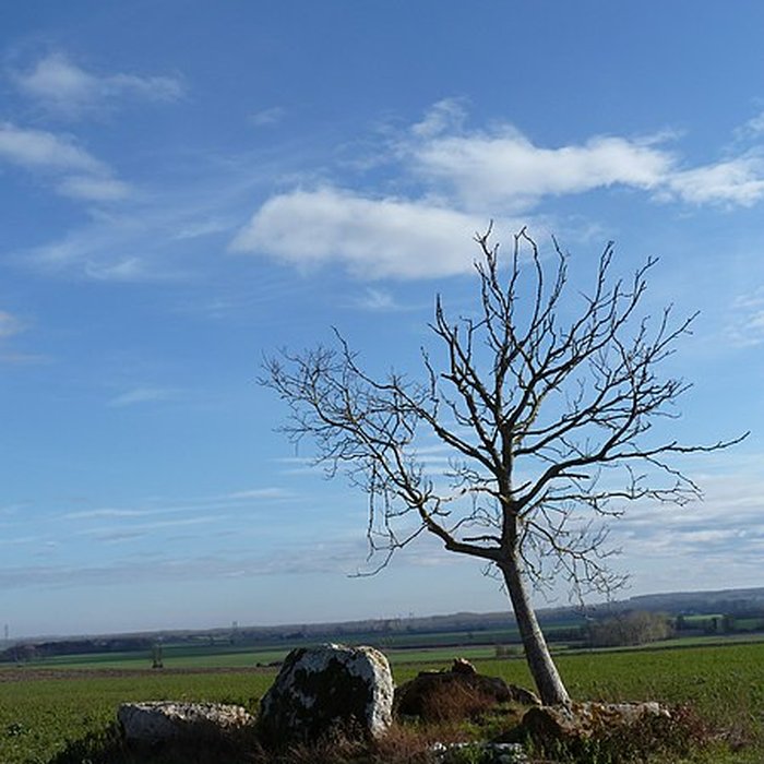 Photo de Dolmen du Griffier à Antoigné