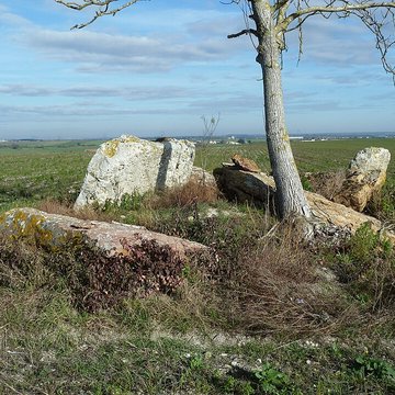 Dolmen du Griffier à Antoigné