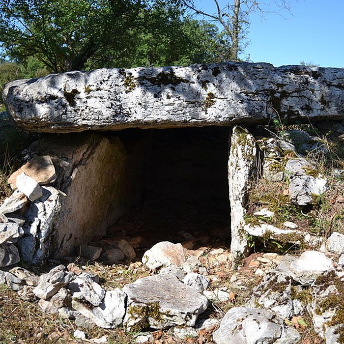 Photo de Dolmen du Rat à Saint-Sulpice