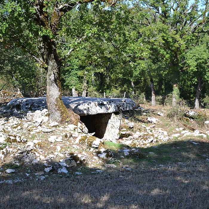 Photo de Dolmen du Rat à Saint-Sulpice