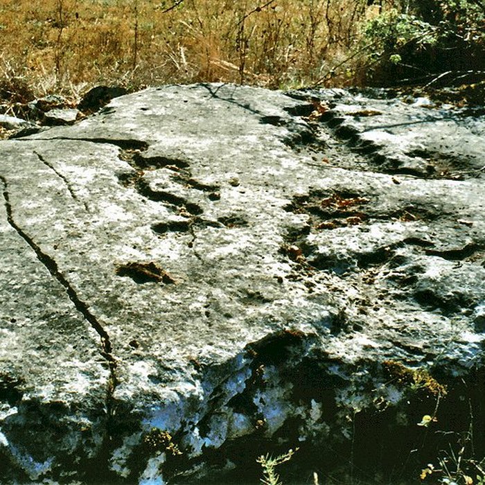Photo de Dolmen du Rat à Saint-Sulpice
