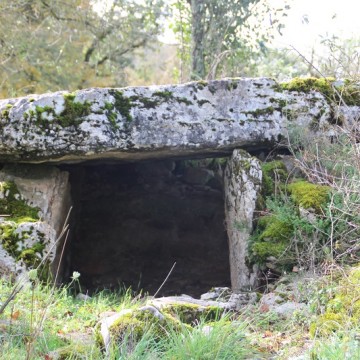 dolmen du rat a saint sulpice