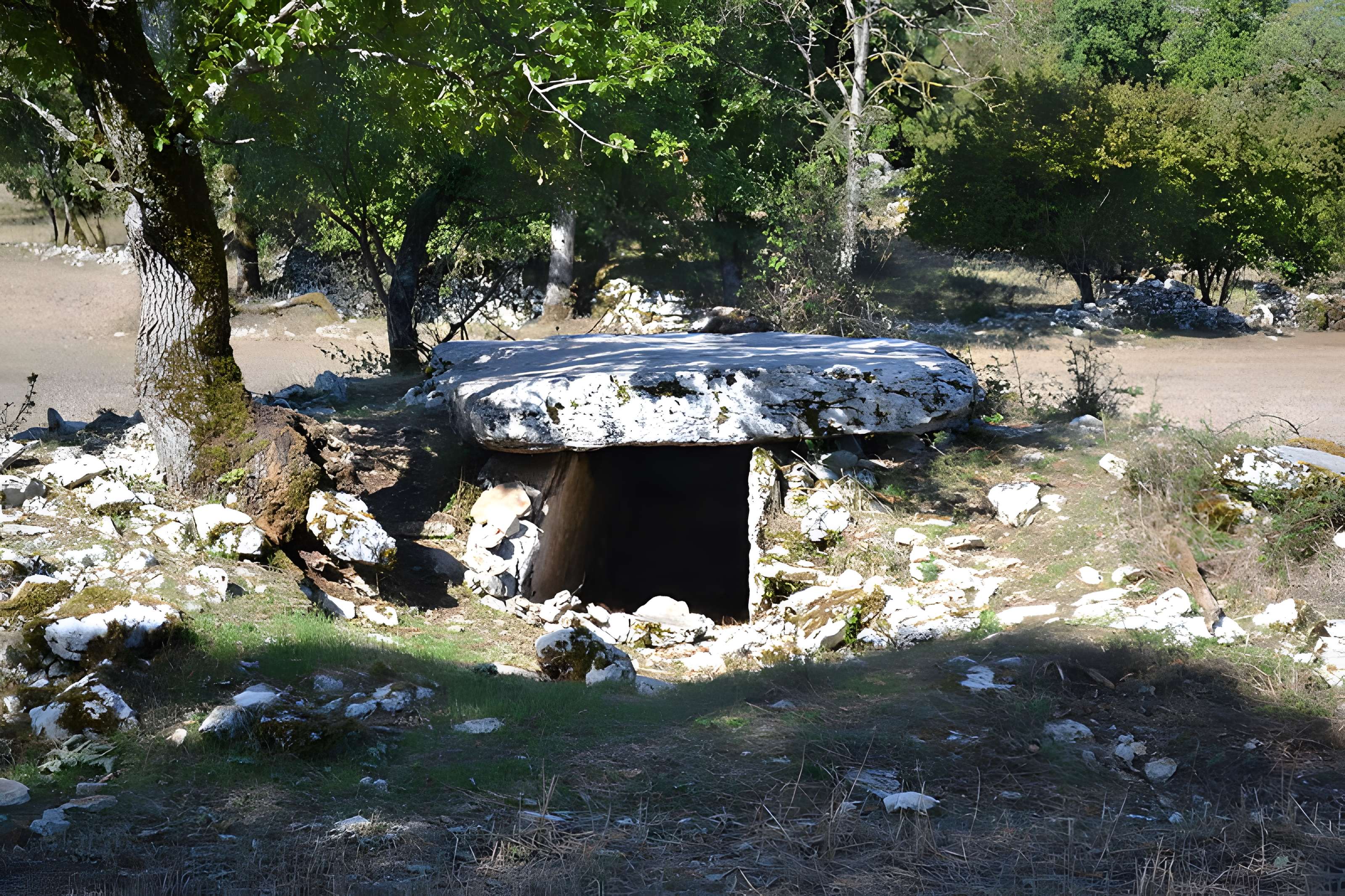 Dolmen du Rat à Saint-Sulpice