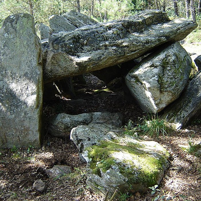 Photo de Dolmen du Riholo à Herbignac