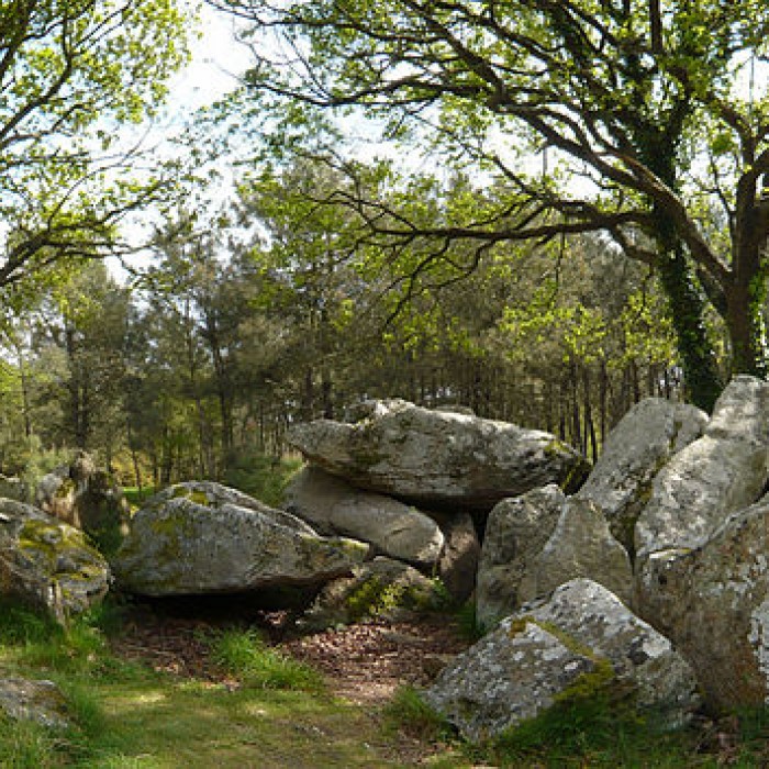Photo de Dolmen du Riholo à Herbignac