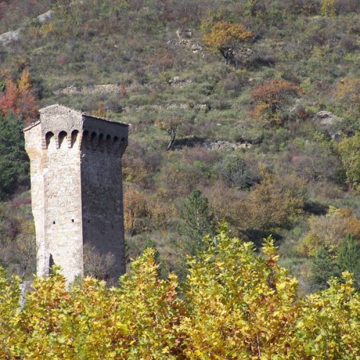 Photo de Tour pentagonale de Castellane