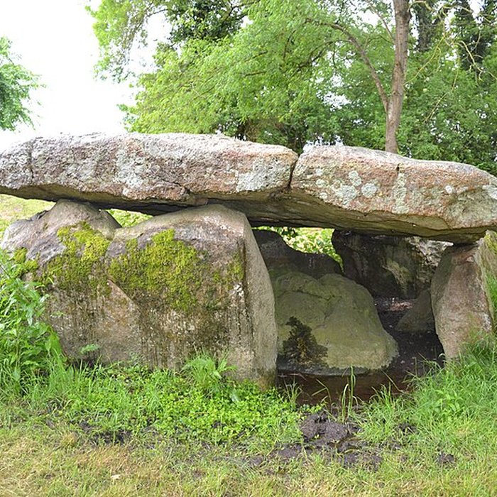 Photo de Dolmen La Vacherie à Distré